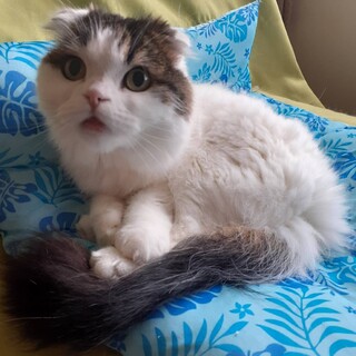 〝ココアくん〟です♪