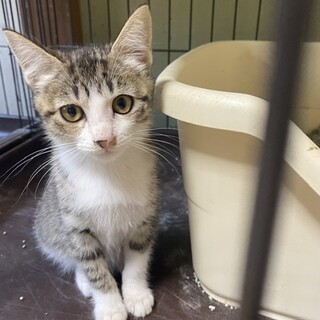 生後3ヵ月　美人姉妹