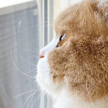 の写真