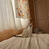柔らかい場所が大好き！