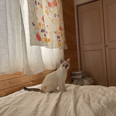 やわらかい場所が好きなチャドちゃん。