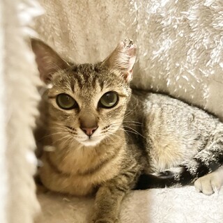 【別の場所でご縁を頂きました】子供たちの分まで