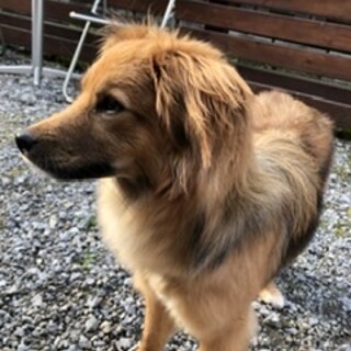宮古島から来ましたティアラです！