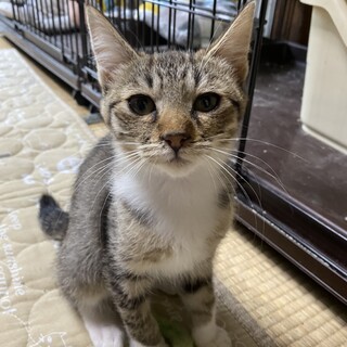 生後3ヵ月　美人ちゃん