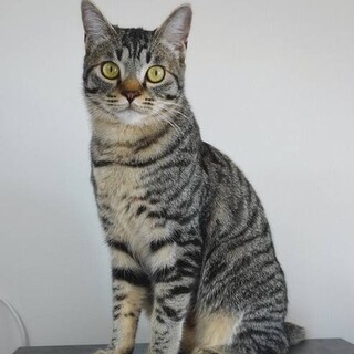 6/5　不参加になりました♡シュンくん