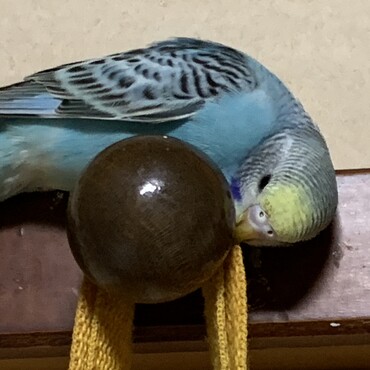 の写真