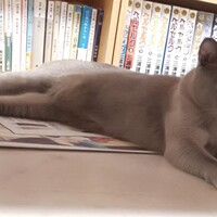 クルトン