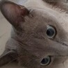 の写真