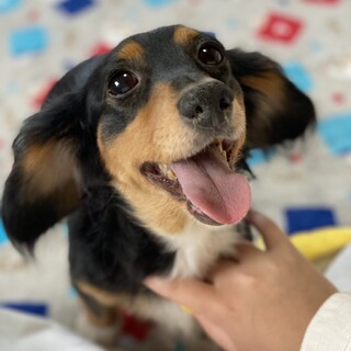 人懐っこくて、ちょっとシャイなパルちゃん♪