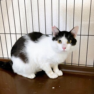 6/19西千葉ෆ⃛いろんな表情が可愛いෆ⃛ハッチ