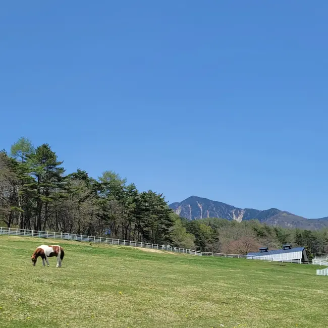 そるくるのカバー写真