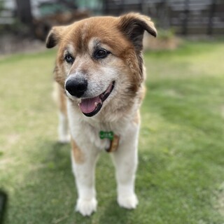 優しくふわふわムック☆甘えん坊