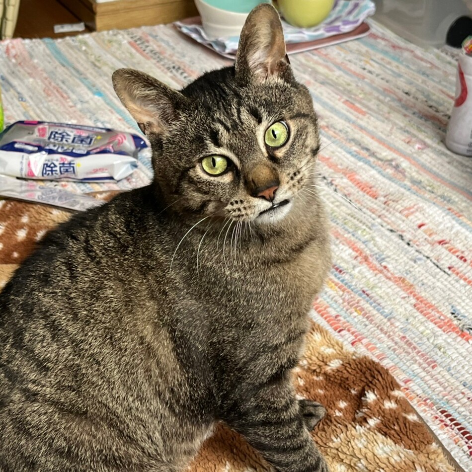 まあのカバー写真