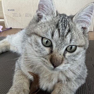 かわいいココちゃん♂