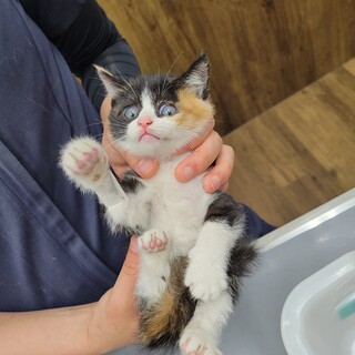 みんにゃ可愛赤ちゃんです❣️