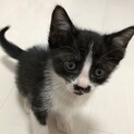 お口が特徴なかわい子ちゃん