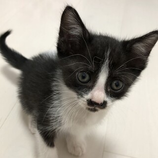 お口が特徴なかわい子ちゃん