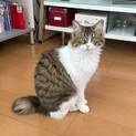 ふわふわ美人♡ツナちゃんです！