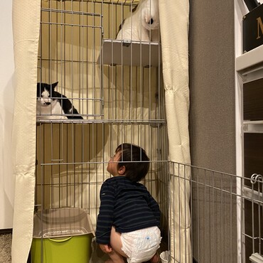 お邪魔しまーす♩