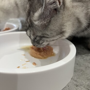 食べるの大好き