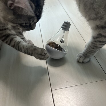 食べたくて必死