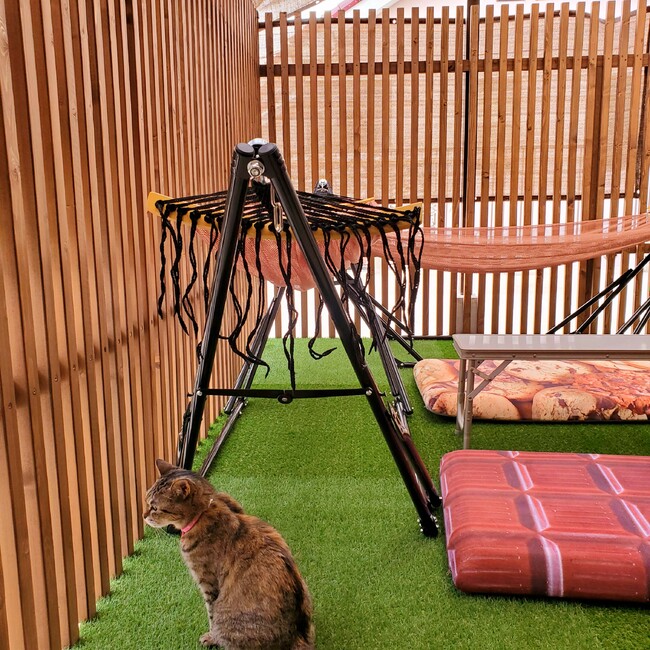 ねこてらすのカバー写真