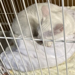 「家族が増えました」サムネイル2