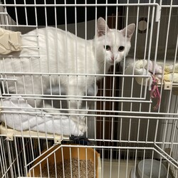 「家族が増えました」サムネイル3