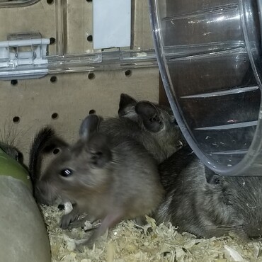 すくすく成長中