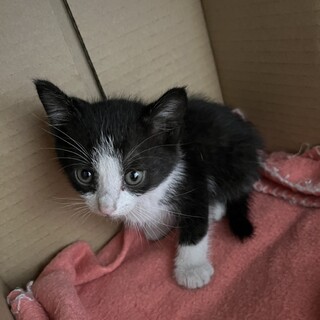 ありがとうございました★クルミちゃん