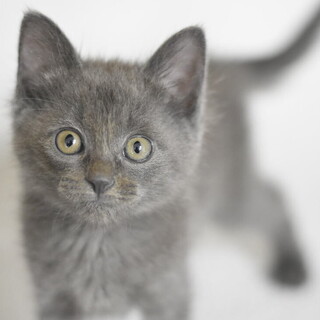 リアナちゃん！