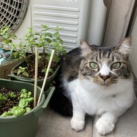 うな