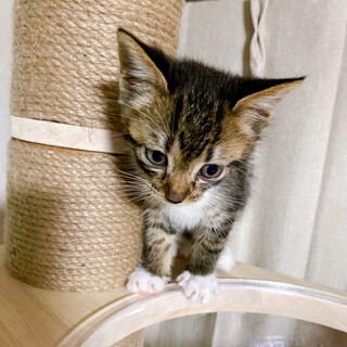 6/5西千葉ෆ⃛５兄妹ですෆ⃛たろくん