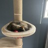 お気に入りの場所