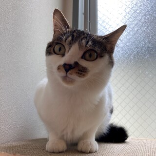 【チビ】天真爛漫なお転婆さん