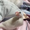 そら