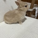 順番に返信させていただきますm(_ _)m