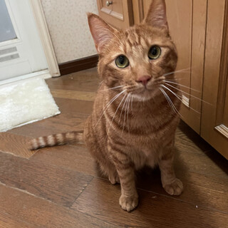 元気イッパイ！出戻りチャンタ君の再出発！