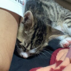 よくそばに来て添い寝してくれます