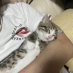 「よくそばに来て添い寝してくれます」サムネイル3