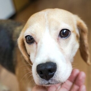 おっとり美人のオトナ女子♡