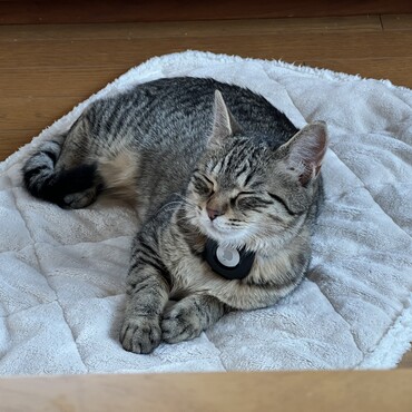 座ったまま寝ちゃいました