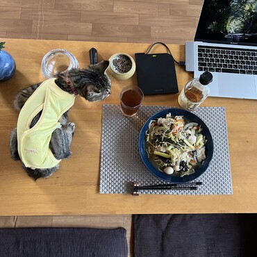 テーブルに乗ったらダメですよ。ともう何回目でしょうか。