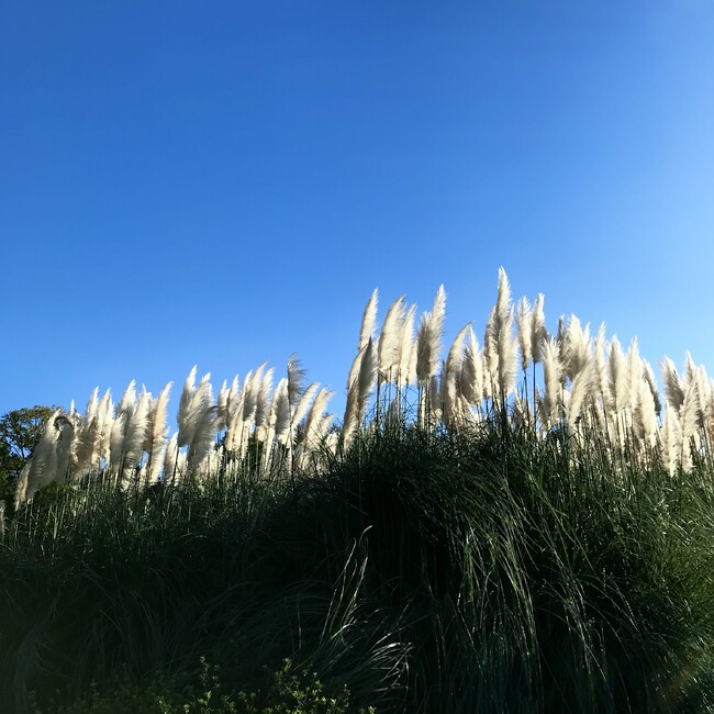 tomoyoのカバー写真