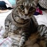 まぐろ兄さん