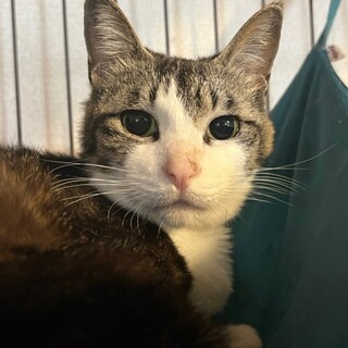 マイペースで穏やか♡まなちゃん