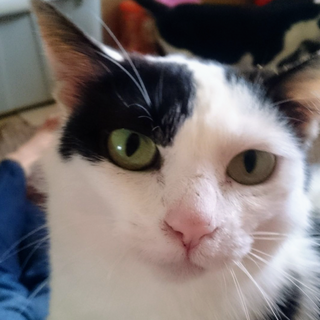 （お見合い決定！）『まり』♀