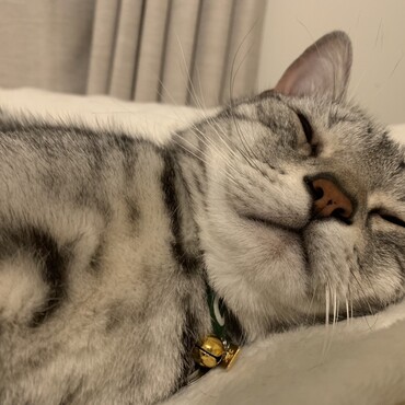 の写真