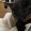 閲覧ありがとうございました