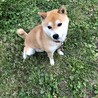 えすいち